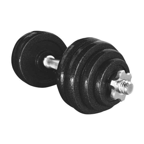 Zwart verstelbare dumbbell met gewichten voor krachttraining en fitness.